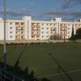 ...da dove ammiriamo il verde intenso dell'"arena" dove si sfidavano i futuri campioncini